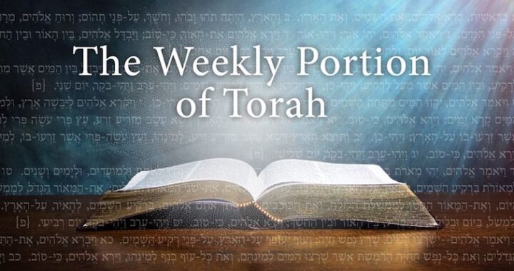 weekly-torah-portion-ner-leraglai